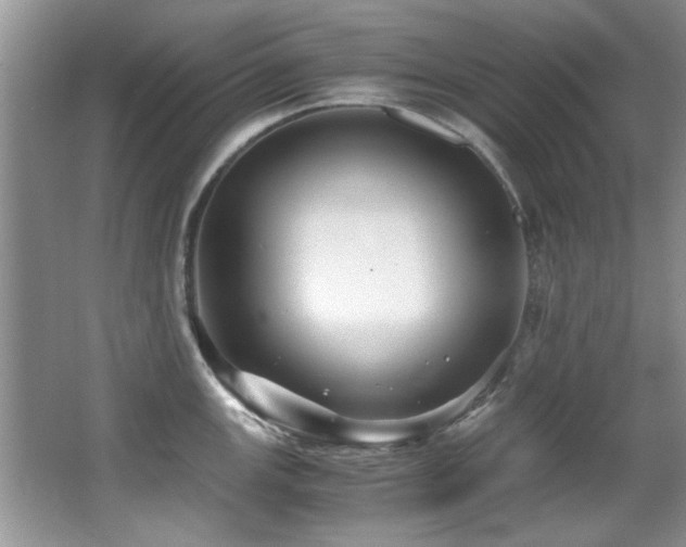 X0000067001147200603241335
