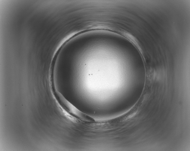 X0000067001149200603241335