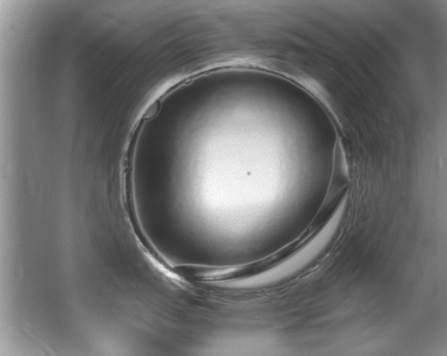 X0000067001151200603241335