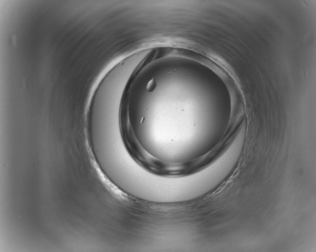 X0000067001152200603241335