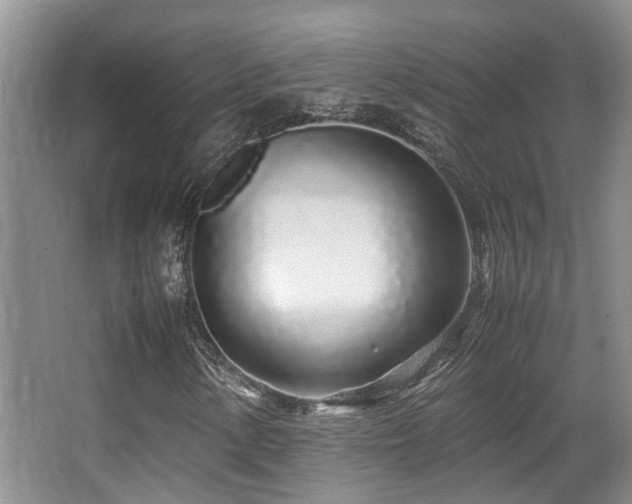X0000067001154200603241335