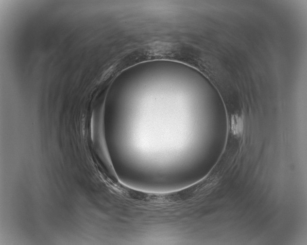 X0000067001155200603241335