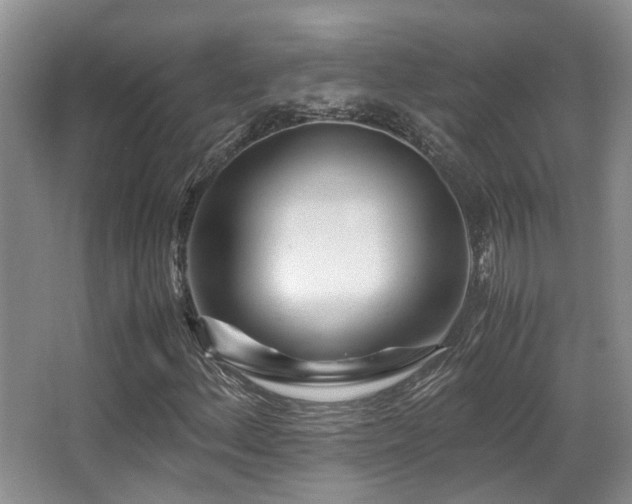 X0000067001156200603241335