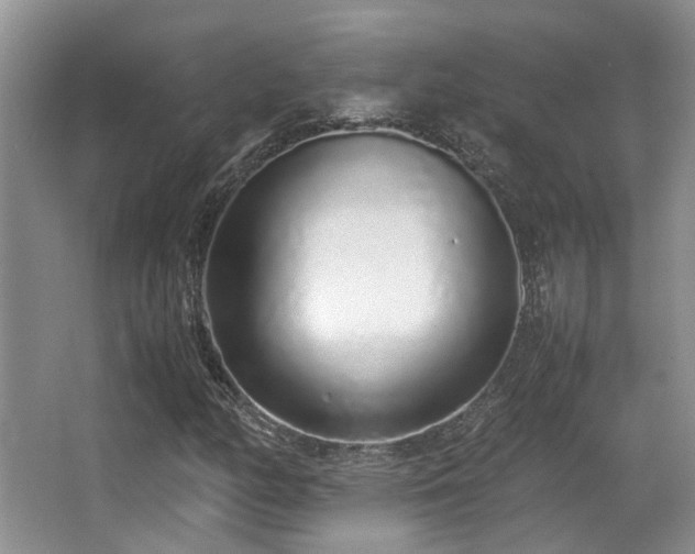 X0000067001158200603241335