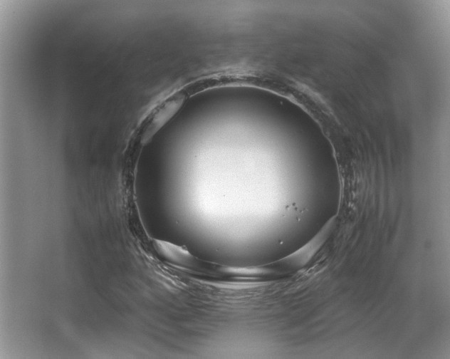 X0000067001160200603241335