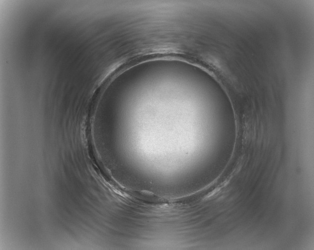 X0000067001162200603241335
