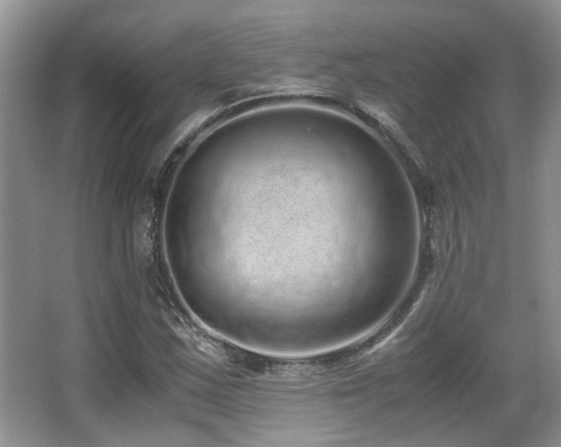 X0000067001163200603241335