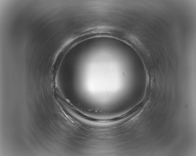 X0000067001164200603241334
