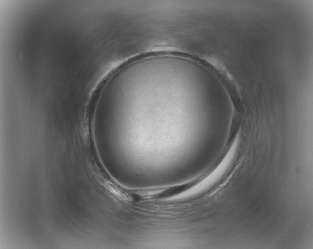 X0000067001167200603241334