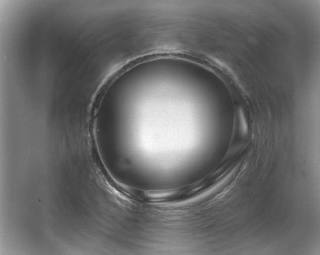 X0000067001168200603241334