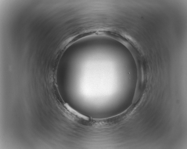 X0000067001169200603241334