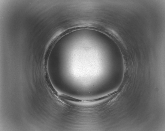 X0000067001172200603241334