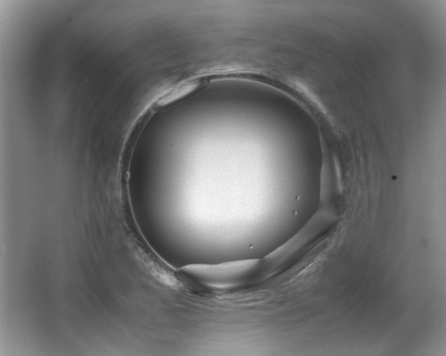 X0000067001173200603241334
