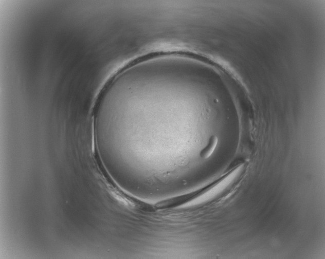 X0000067001175200603241334