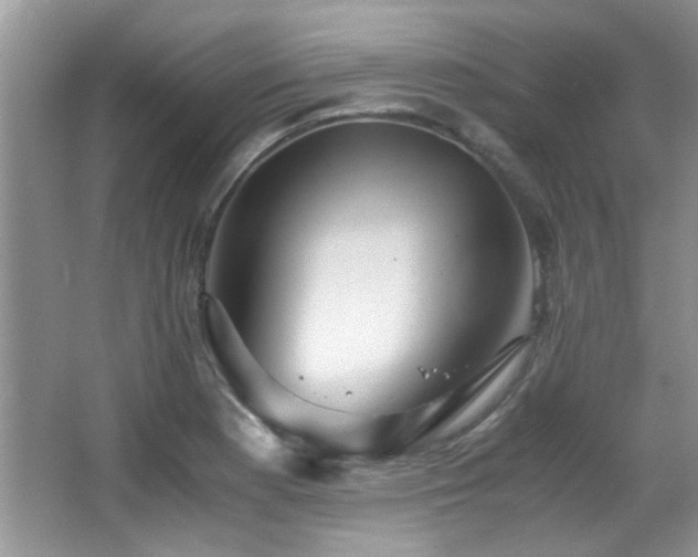 X0000067001177200603241334