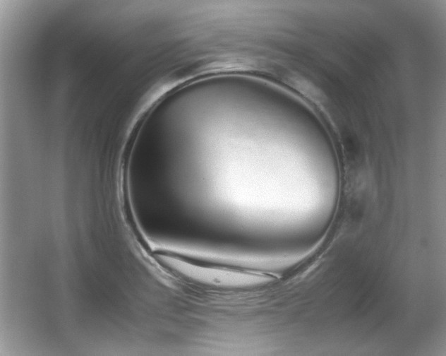 X0000067001179200603241334