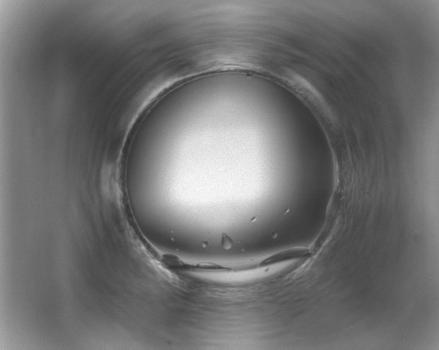 X0000067001182200603241334