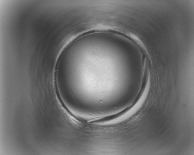 X0000067001183200603241334