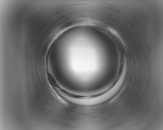 X0000067001184200603241334