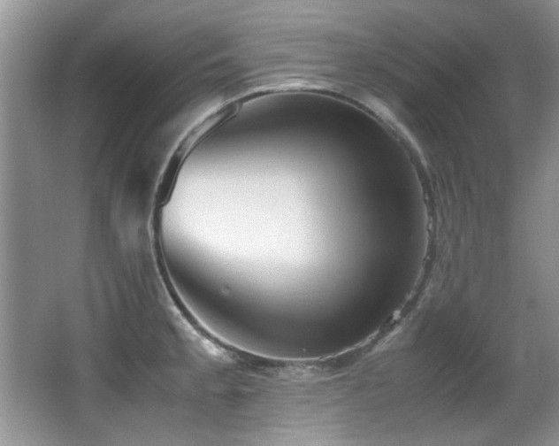 X0000067001189200603241334