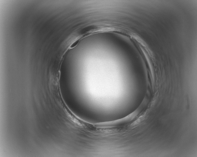X0000067001193200603241334
