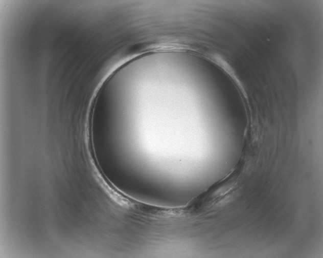 X0000067001195200603241334