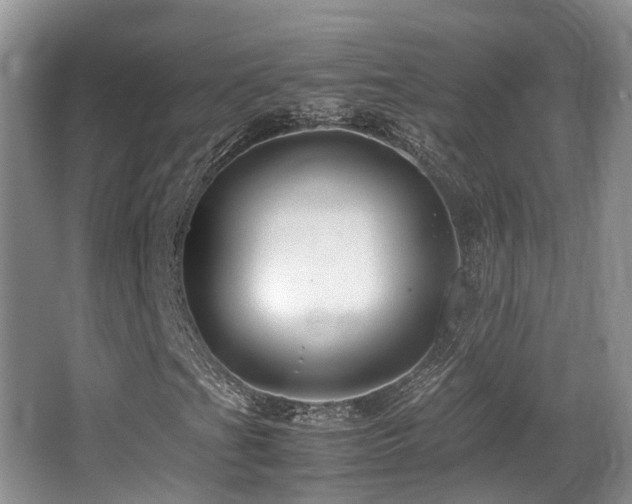 X0000067001201200603241333
