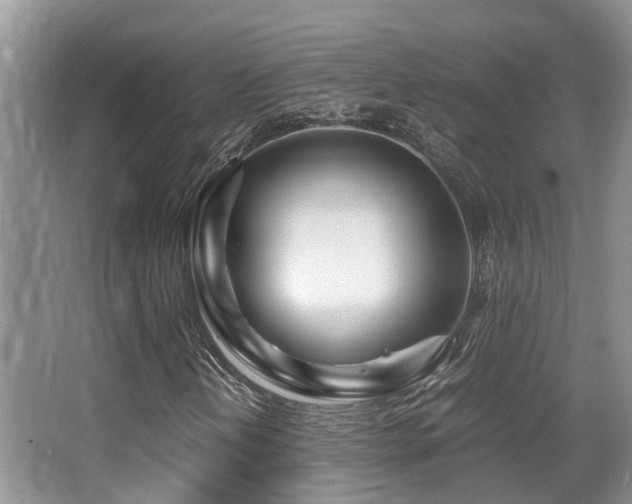X0000067001202200603241333