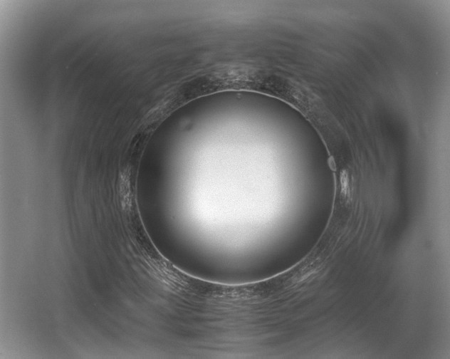 X0000067001203200603241333