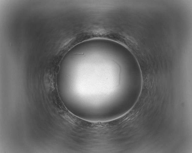 X0000067001205200603241333