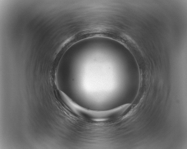 X0000067001210200603241333