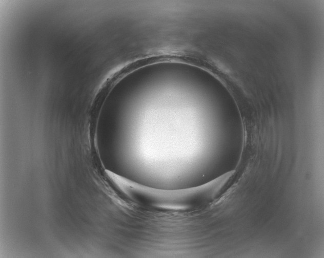 X0000067001214200603241333