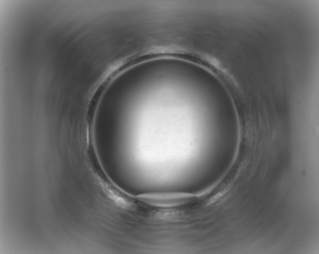 X0000067001221200603241333