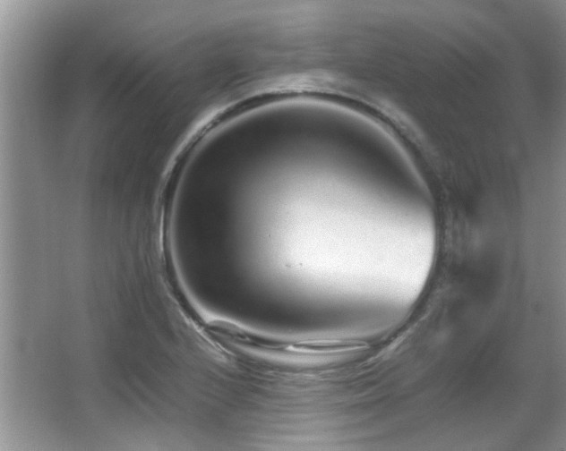 X0000067001224200603241333