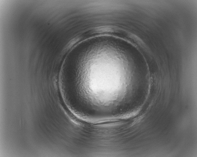 X0000067001225200603241333