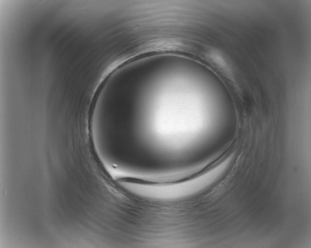 X0000067001226200603241334