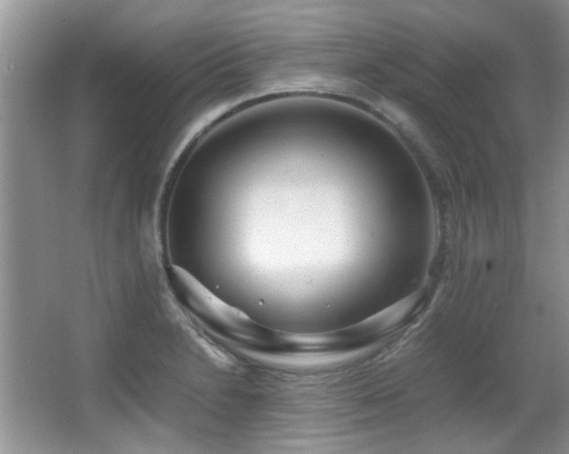 X0000067001230200603241334
