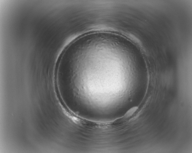 X0000067001231200603241334