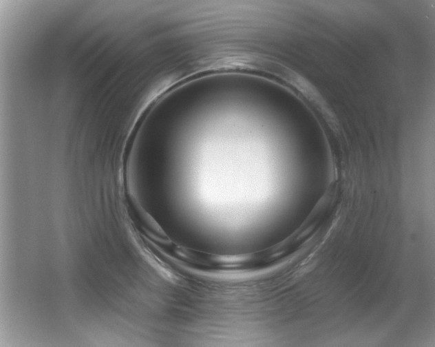 X0000067001234200603241334