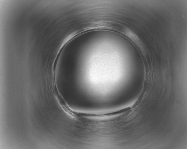 X0000067001242200603241334