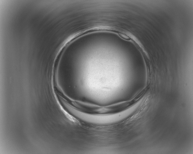X0000067001245200603241334