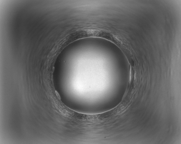 X0000067001249200603241333