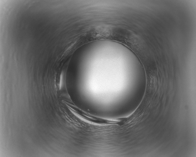 X0000067001250200603241333