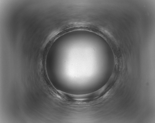 X0000067001261200603241333