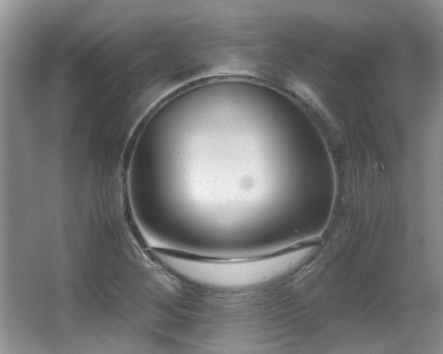 X0000067001268200603241333