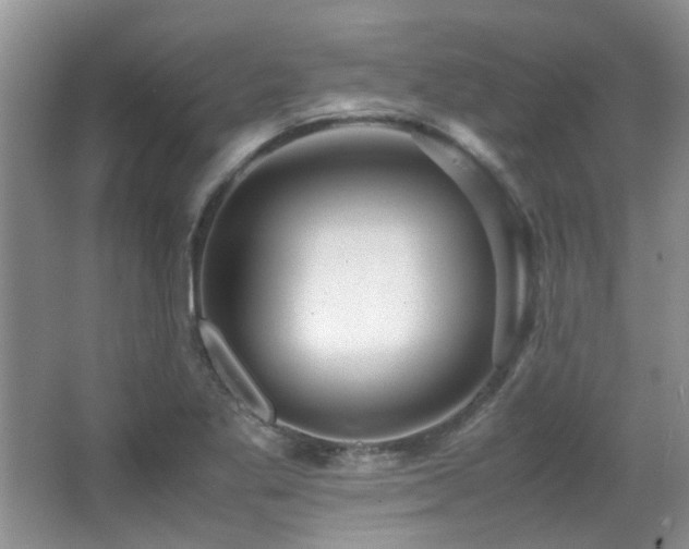 X0000067001269200603241333
