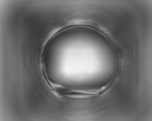 X0000067001277200603241333