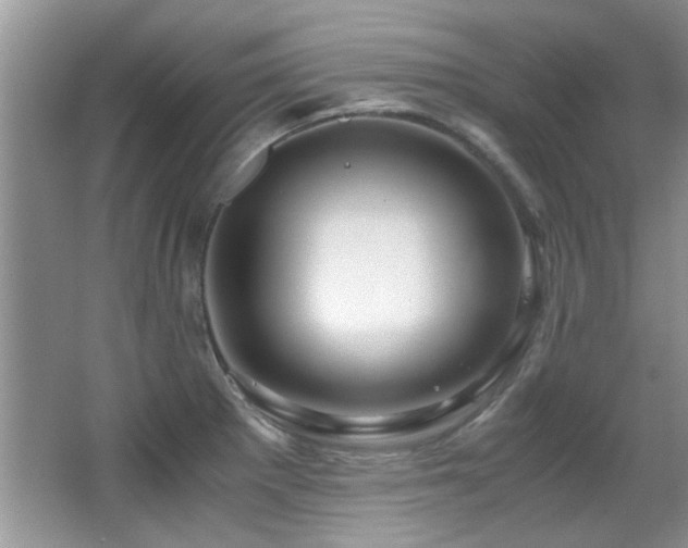 X0000067001281200603241333