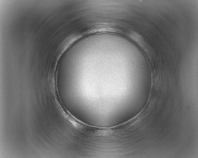 X0000067001282200603241333