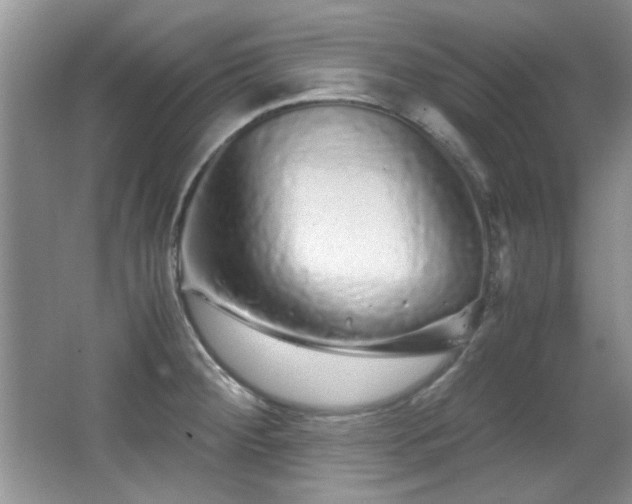 X0000067001284200603241332